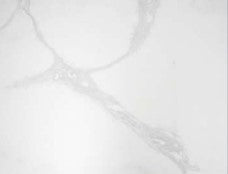 3 cm Moonlight Countertop